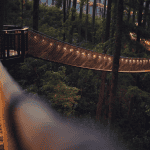 Top Reasons to Visit Gatlinburg in the Fall